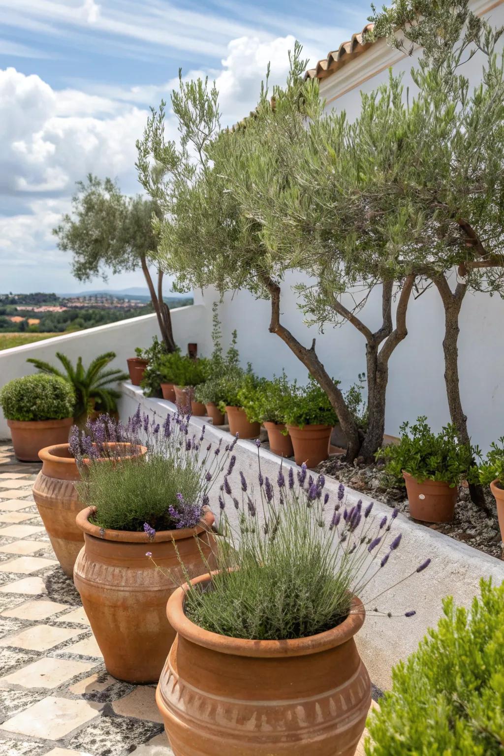 Bring Mediterranean warmth to your garden corner.