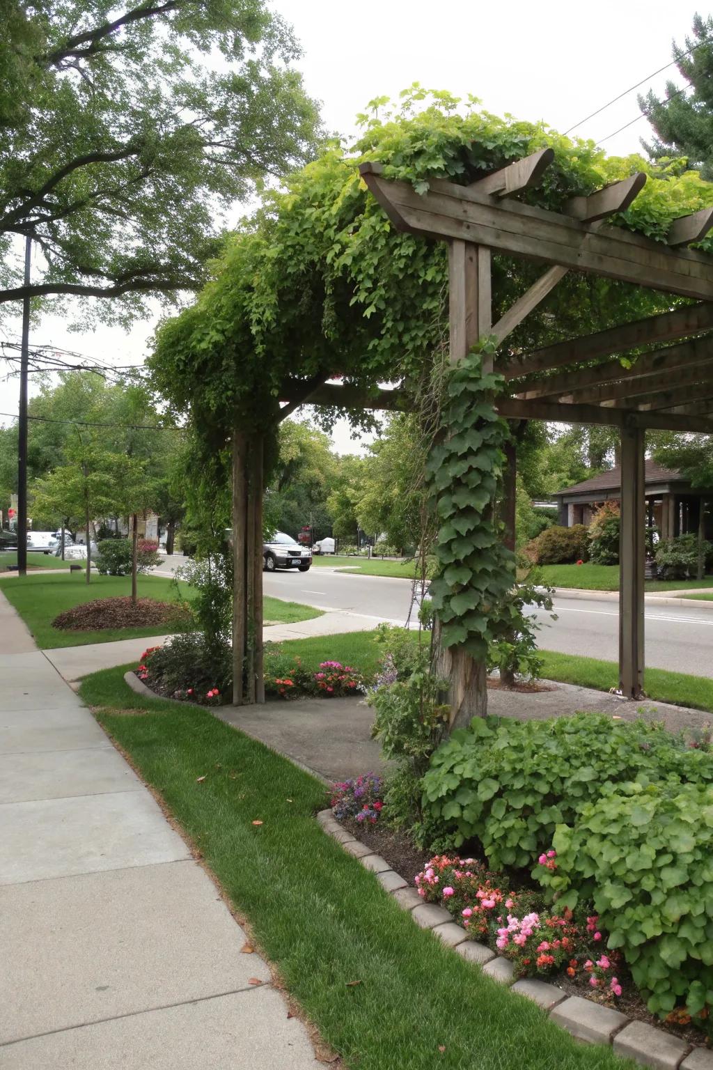 A vine-covered pergola provides overhead privacy and shade.
