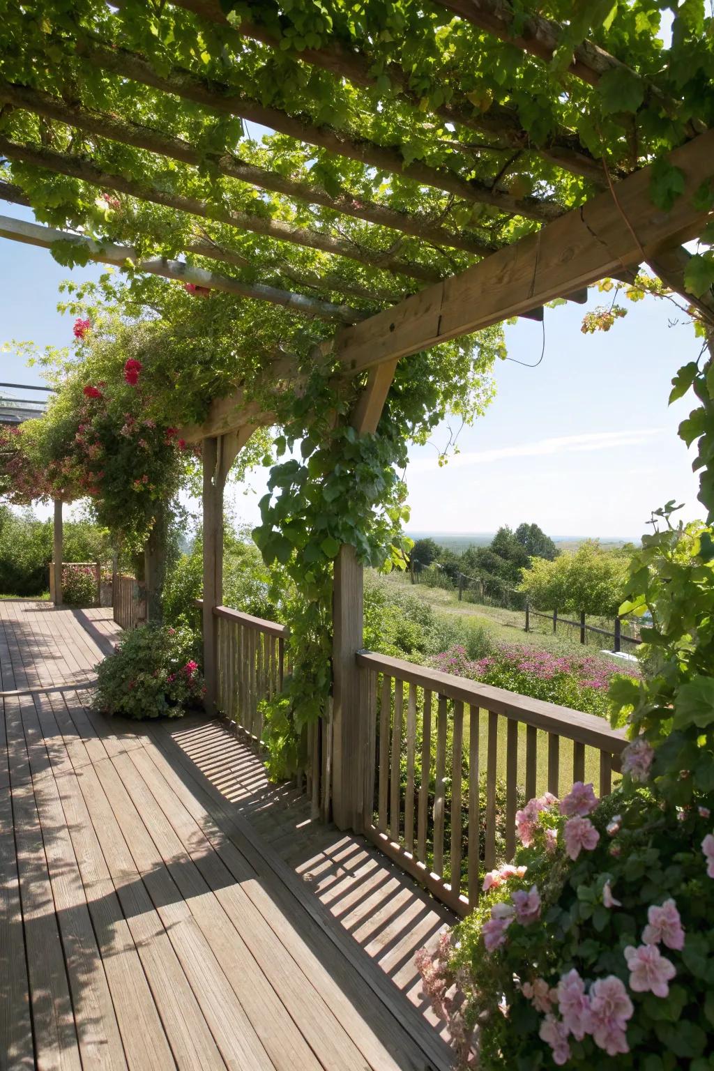 Trellises with plants offer natural and aesthetic shade.