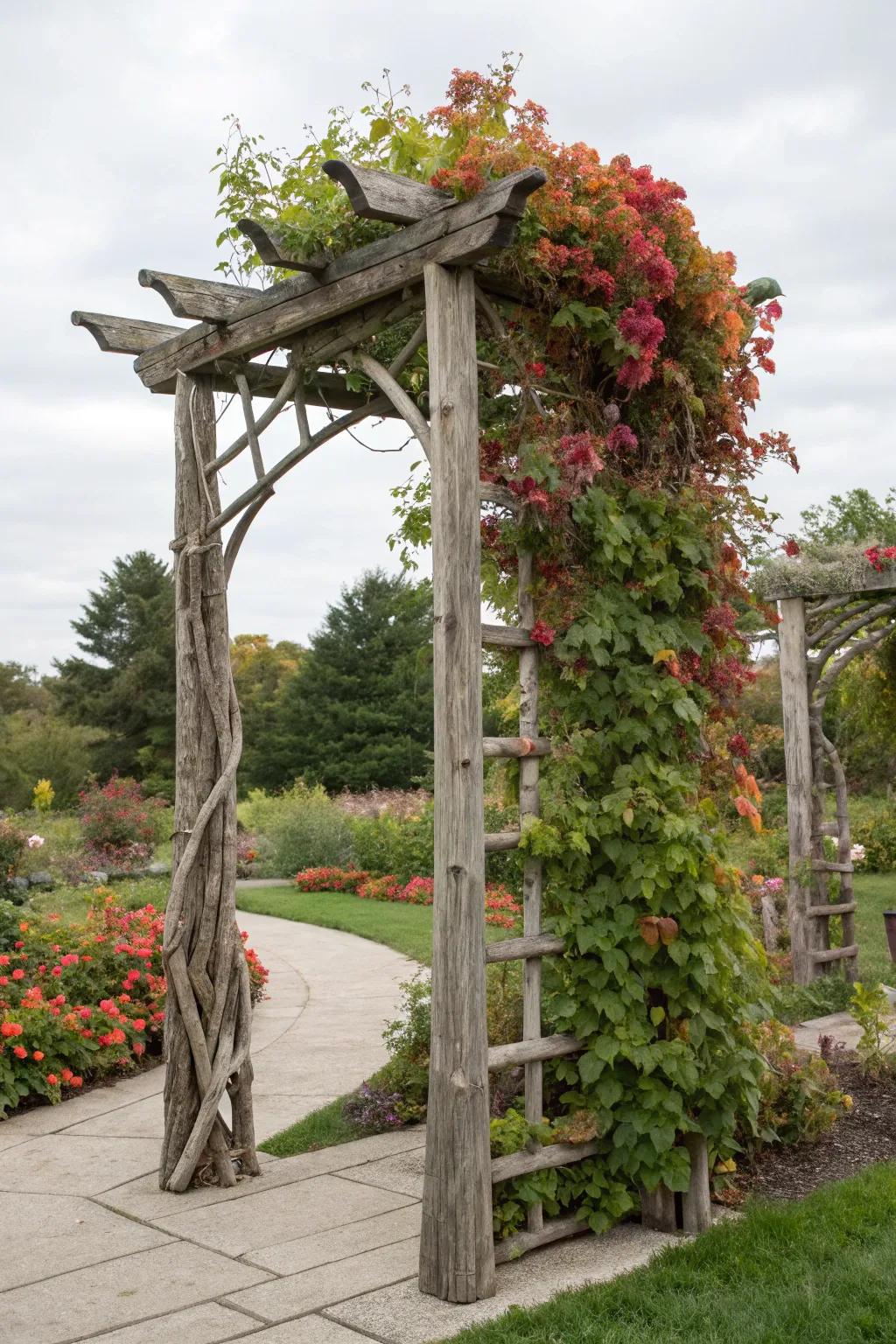 A driftwood trellis supporting lush climbing plants.