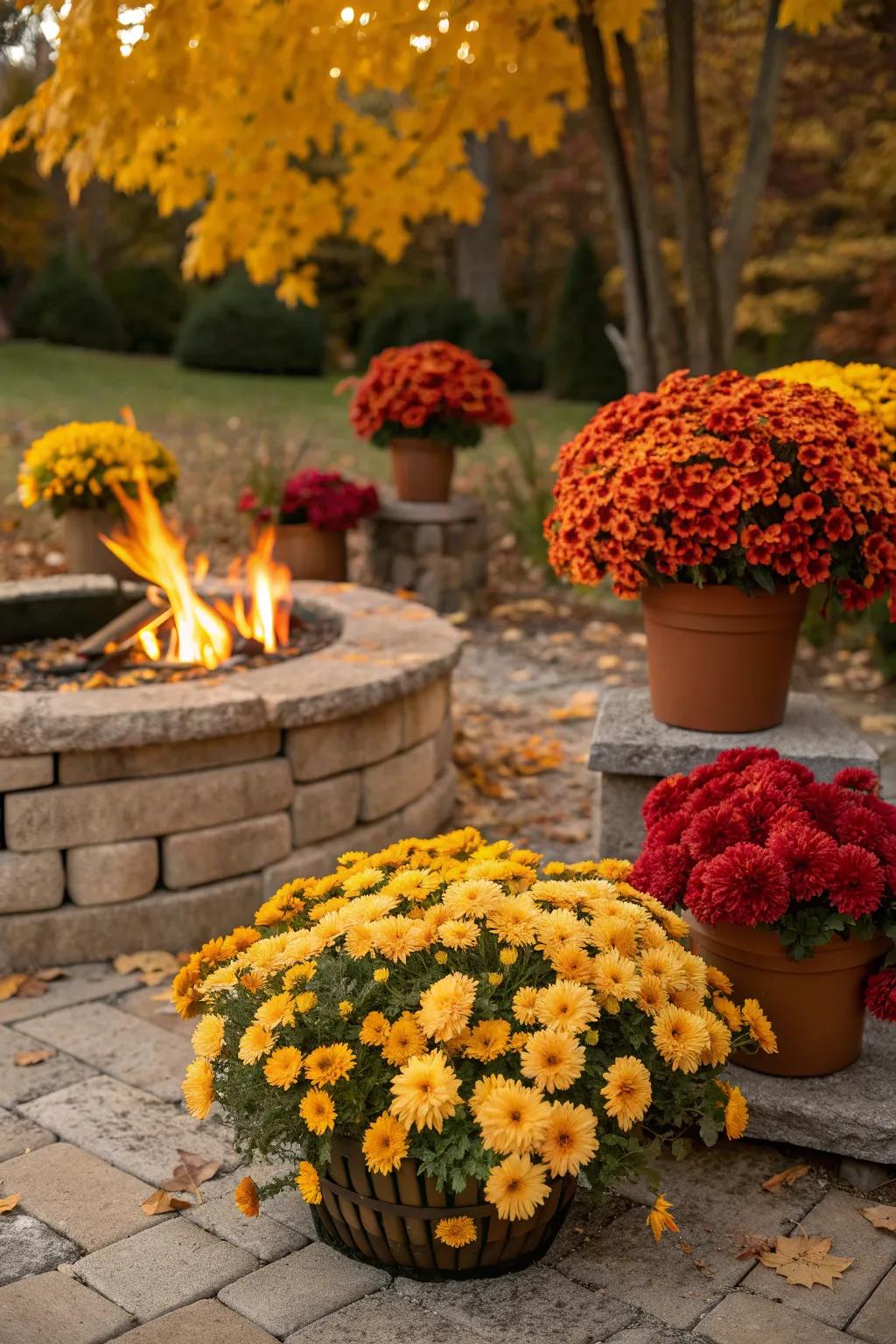 Vibrant autumn flowers adding color around the fire pit.