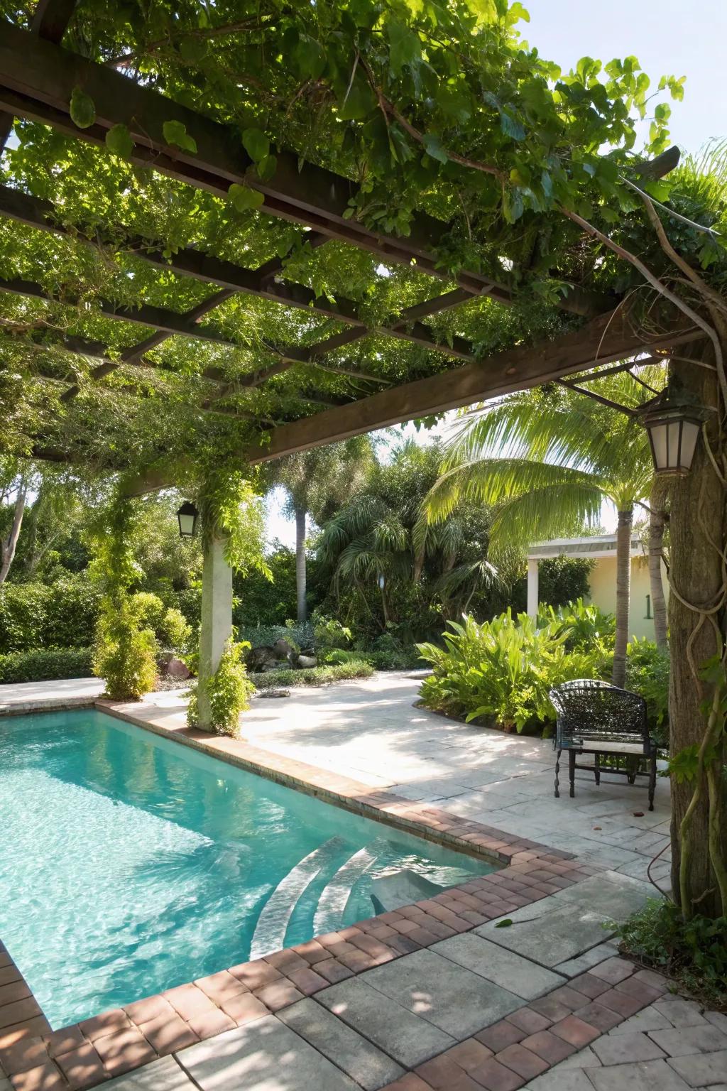 A pergola offering shade and style by the pool.