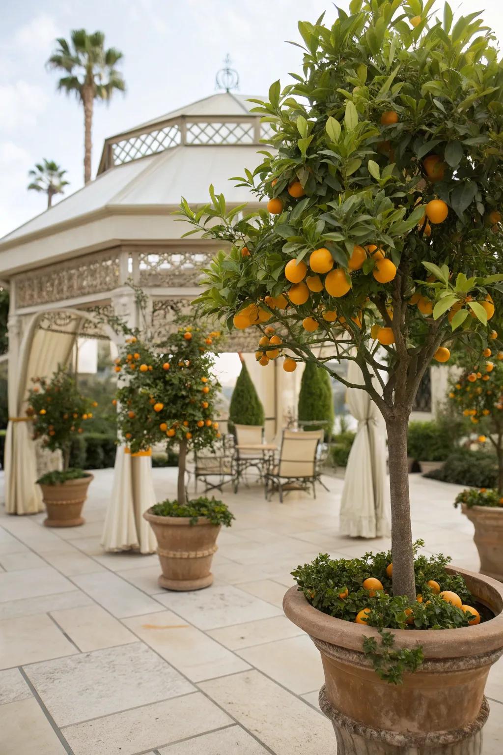 Potted citrus trees add a surprising and fruitful touch to this gazebo patio.