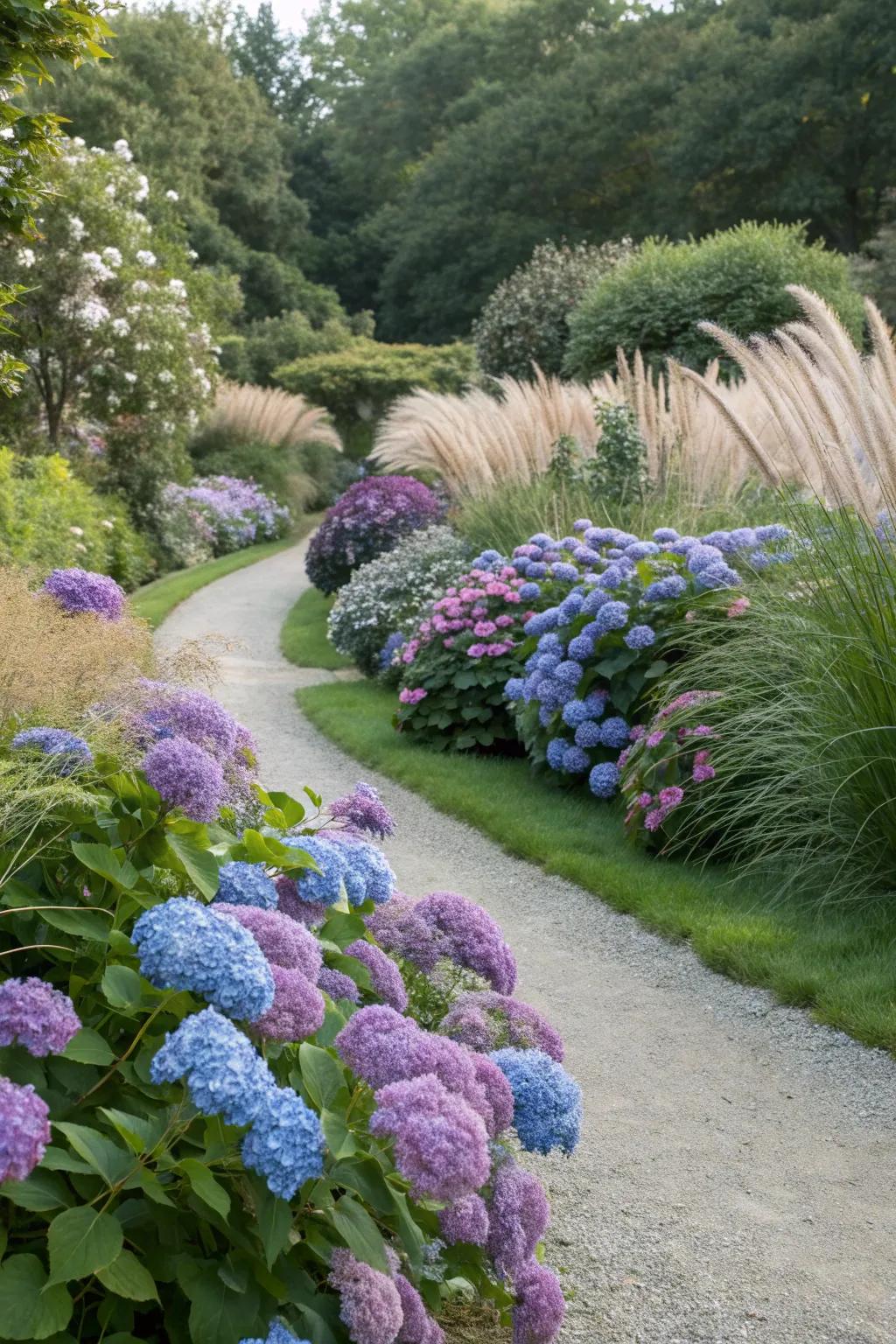 Hydrangeas and grasses offer dynamic garden contrast.
