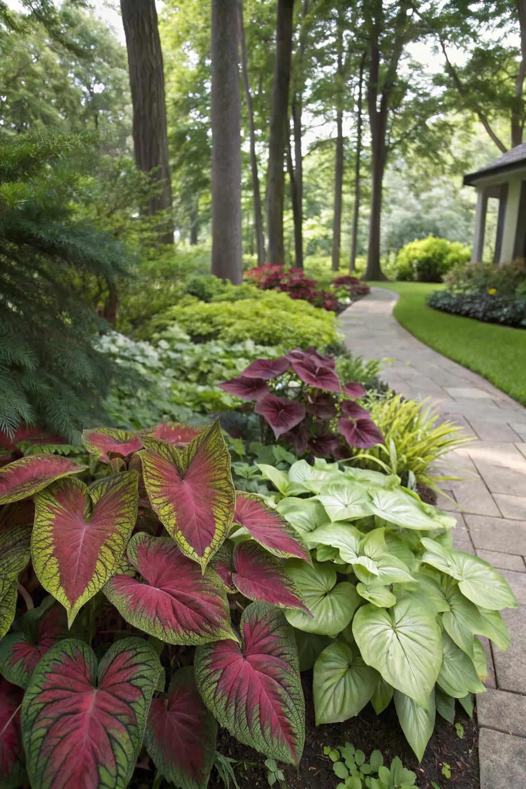 Foliage plants provide lasting color and interest.