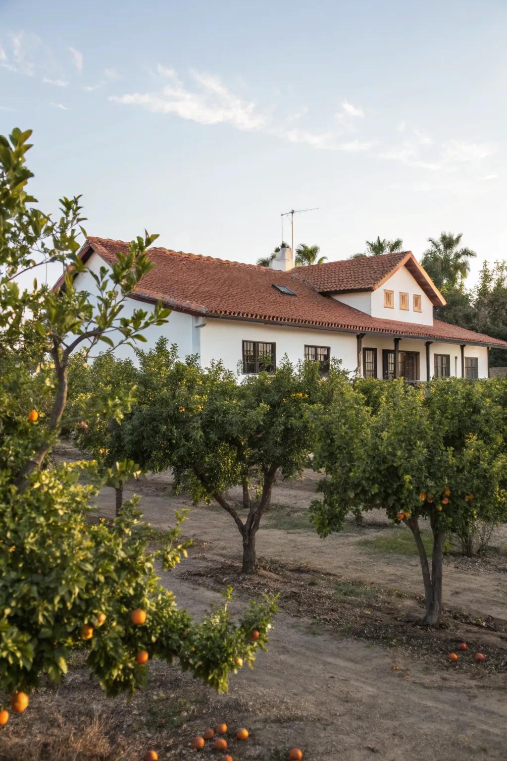 Orchard elements add beauty and bounty to the landscape.
