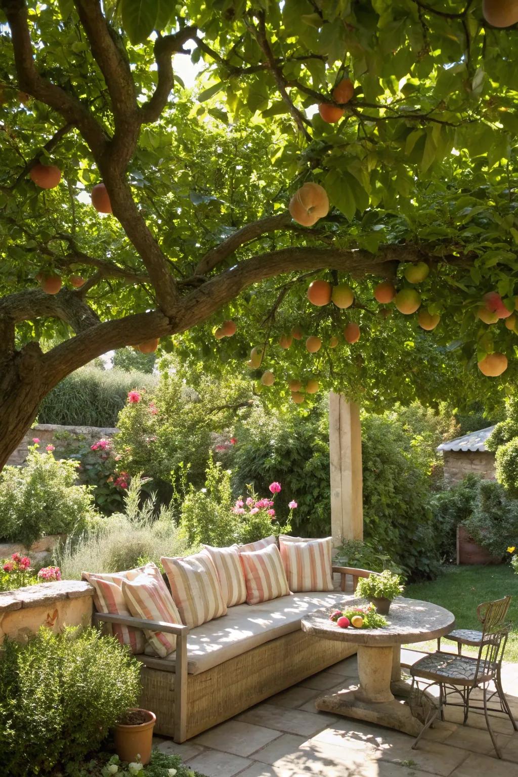 Relax beneath the boughs of a fruitful tree.