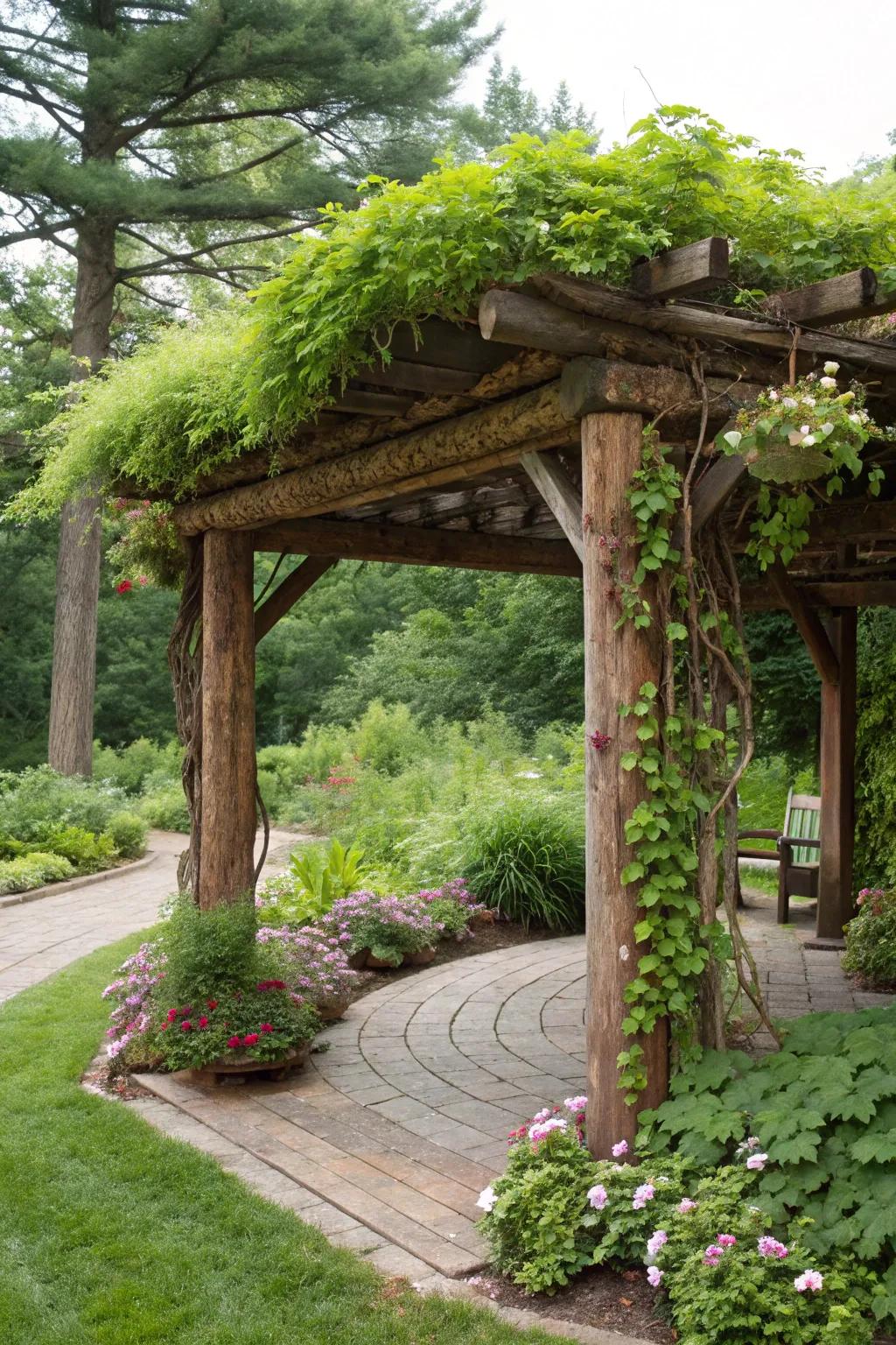 A green living roof topping a sustainable log pergola.