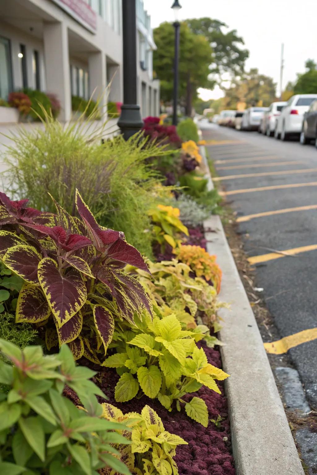Contrasting colors bring vibrancy and depth to the landscape.