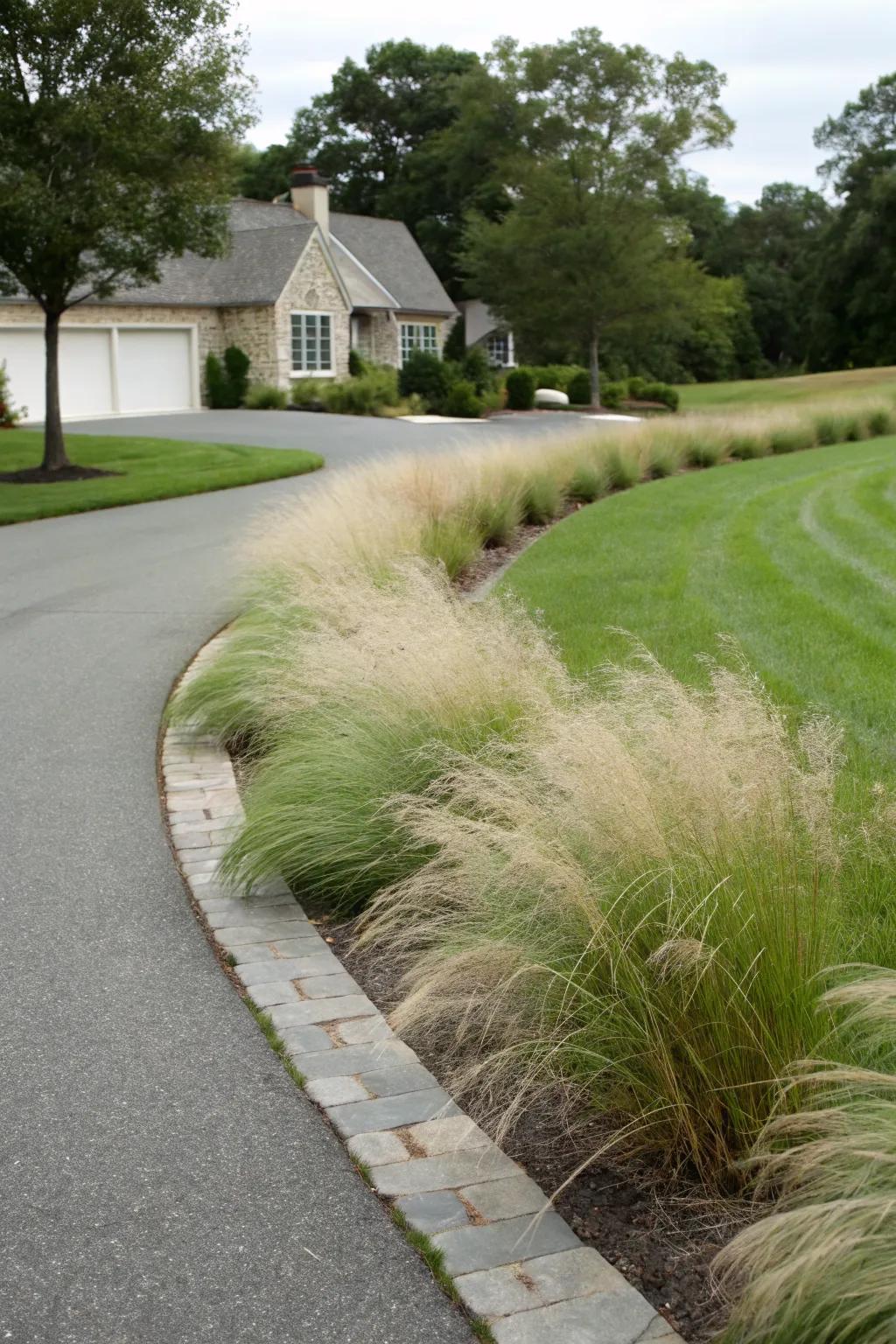 Muhly grass softens the transition between driveway and lawn.