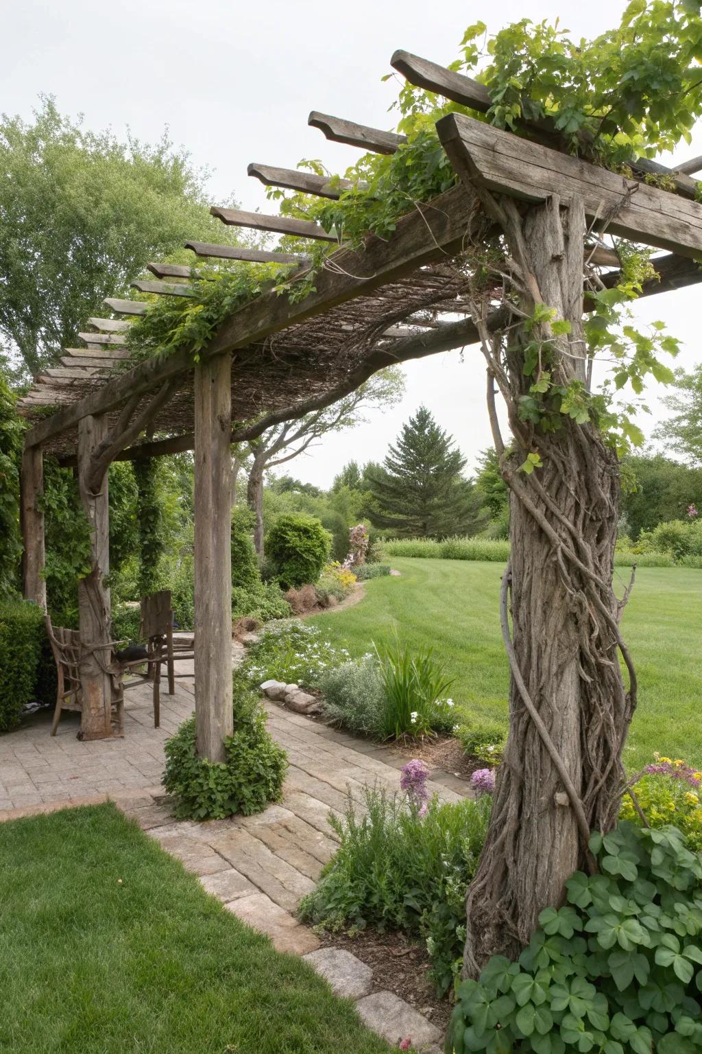A driftwood pergola offers both shade and a coastal aesthetic.