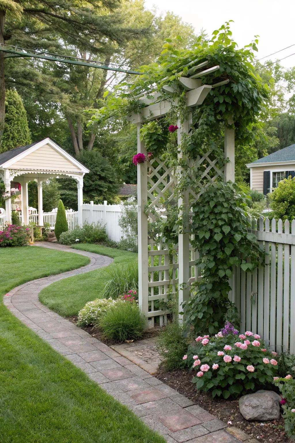 A trellis bringing vertical beauty to the yard.