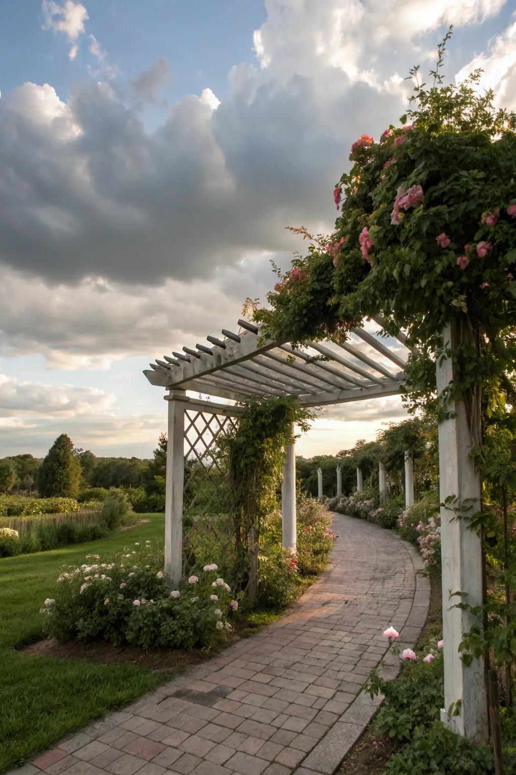 A trellis pergola offering a perfect blend of function and flair.