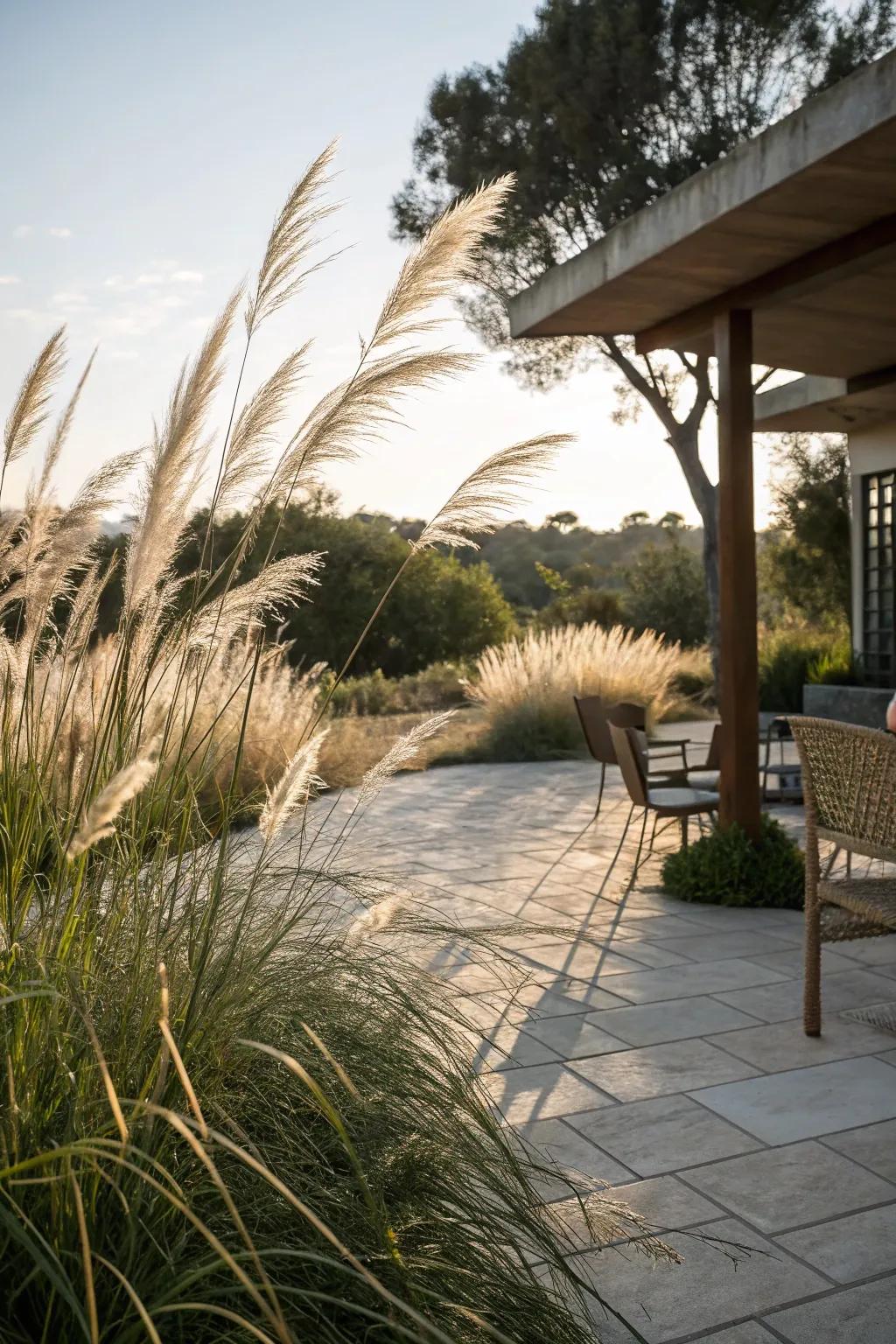 Tall grasses provide a natural and elegant privacy solution.