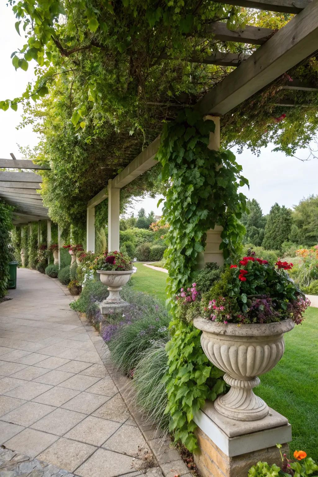 Planters provide a colorful and natural privacy option.