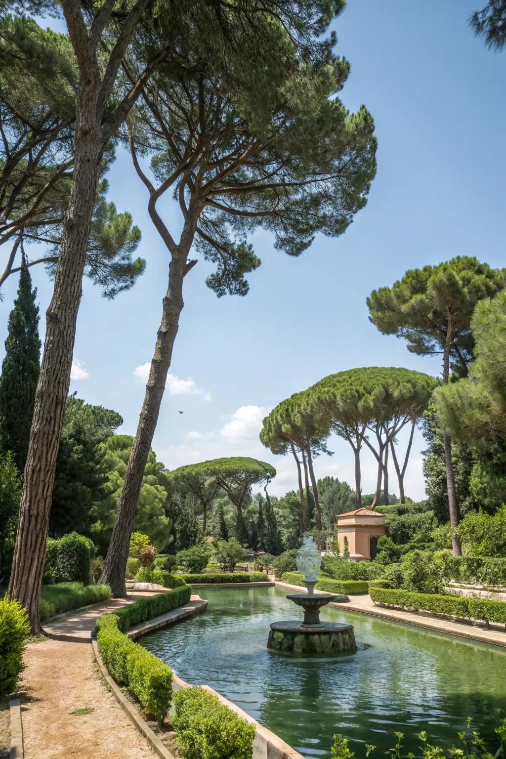 Tranquil garden with pines and water.