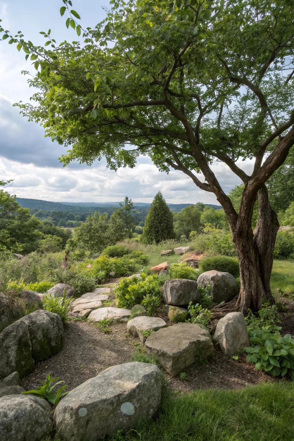 Rocks enhance the natural and rustic charm of your garden.