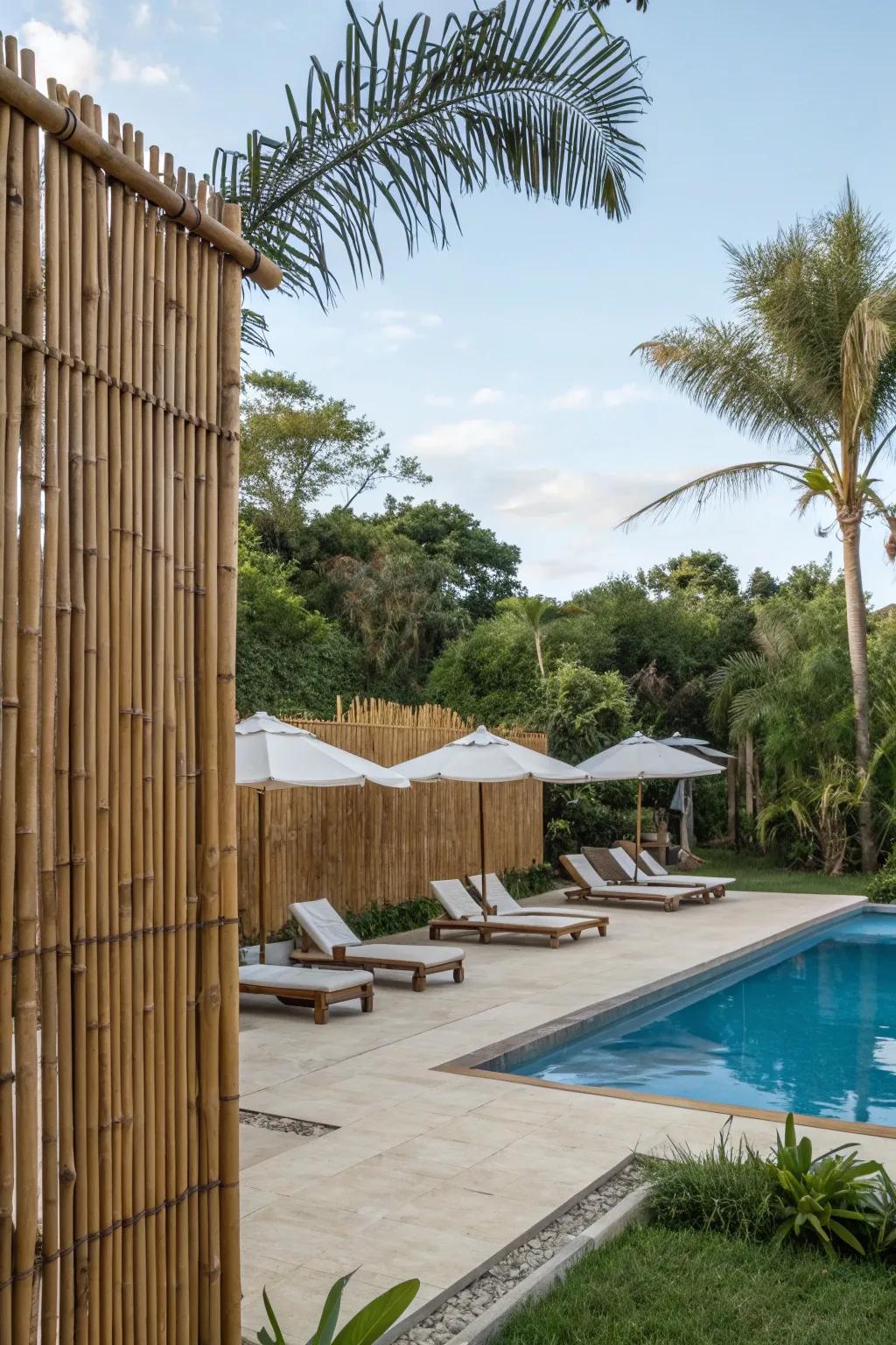 Bamboo screens offer budget-friendly privacy and style.