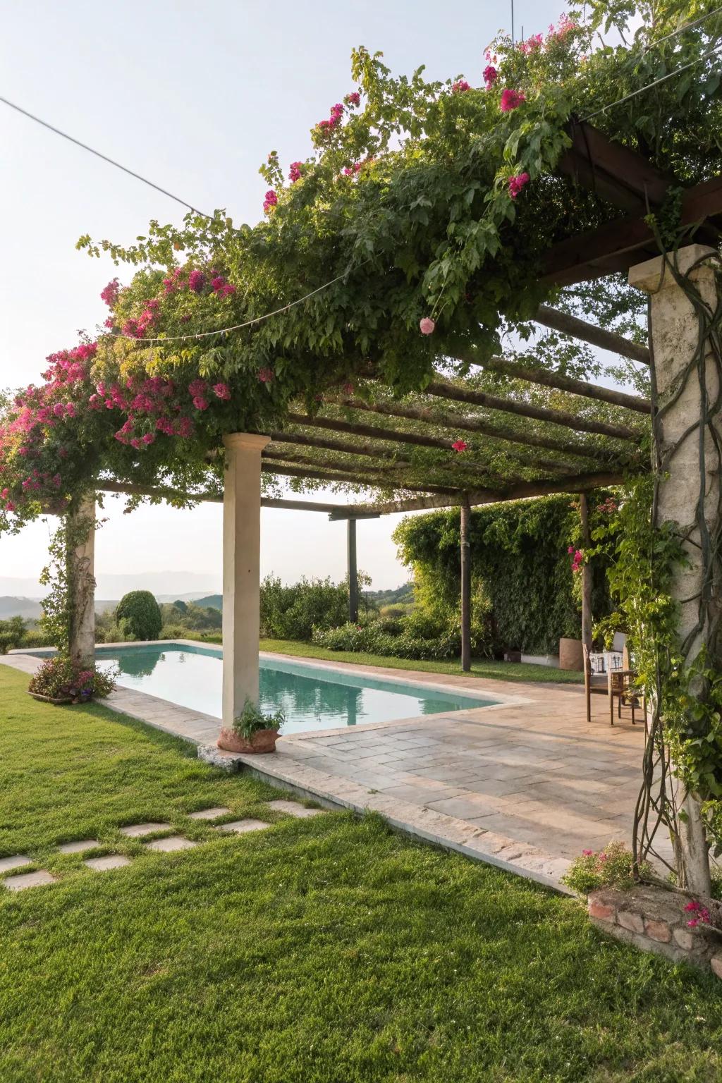 A vine-covered pergola offering shade by the pool.