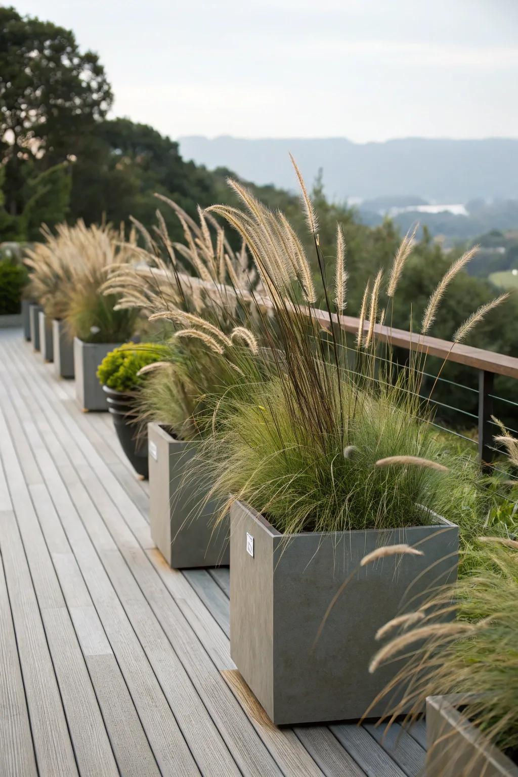 Tall planters create a natural screen and add greenery.