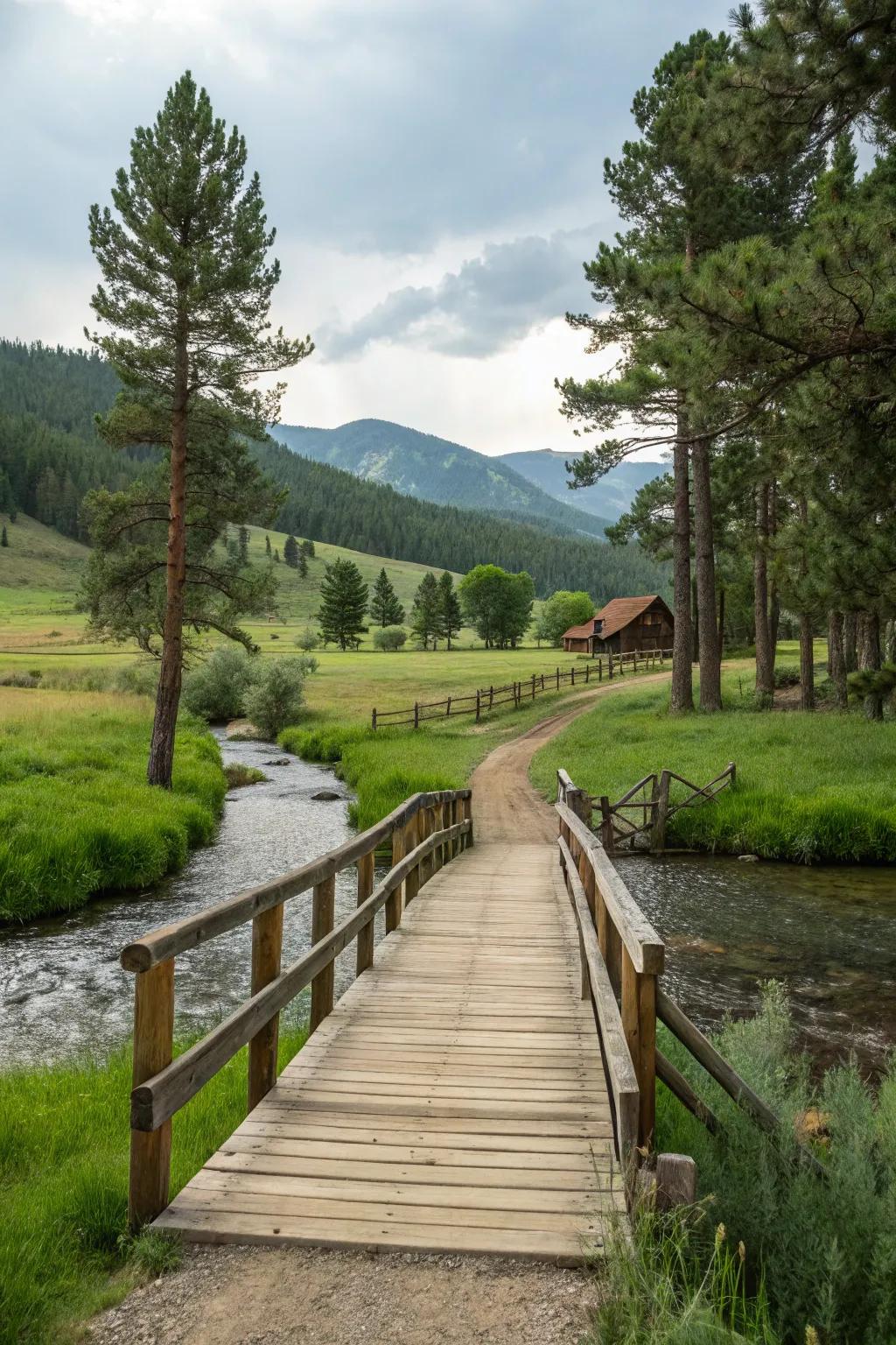 An elevated wooden bridge creating a striking entrance to the ranch.