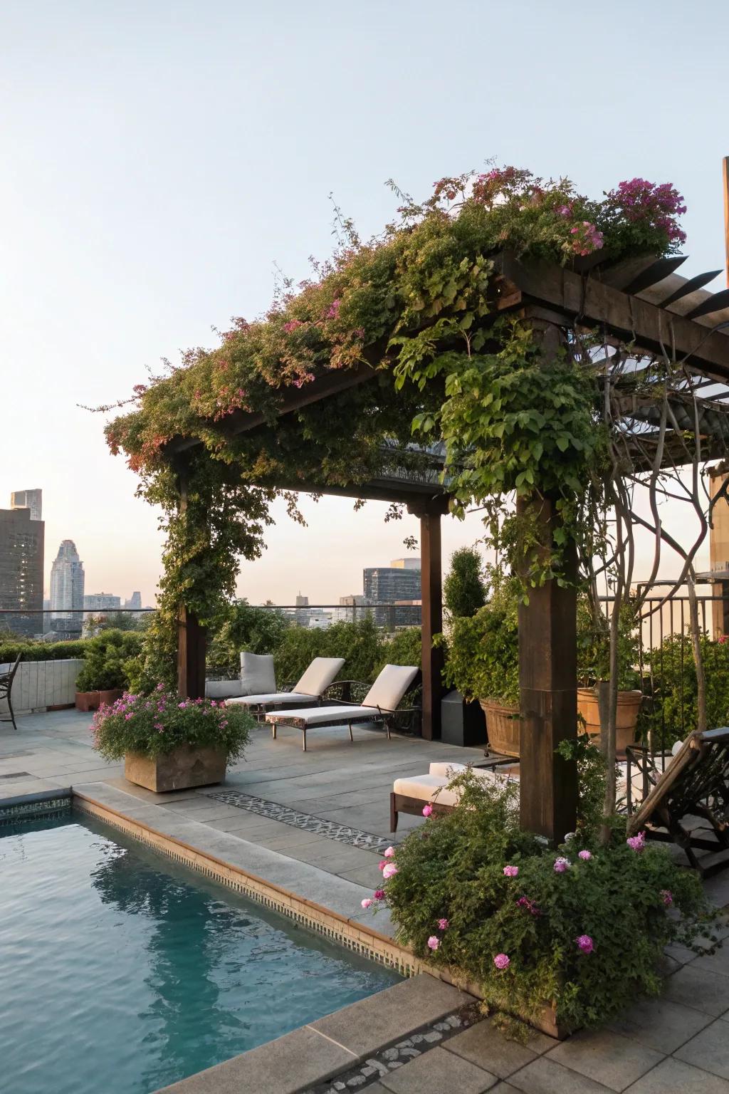 A pergola with a pool creates a luxurious rooftop oasis.