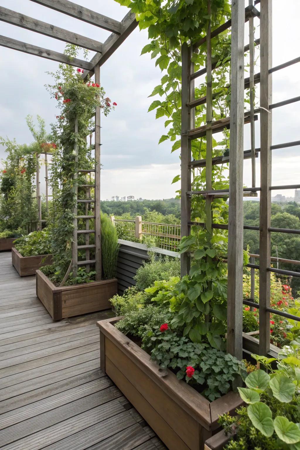Vertical space used creatively on this tiered deck.
