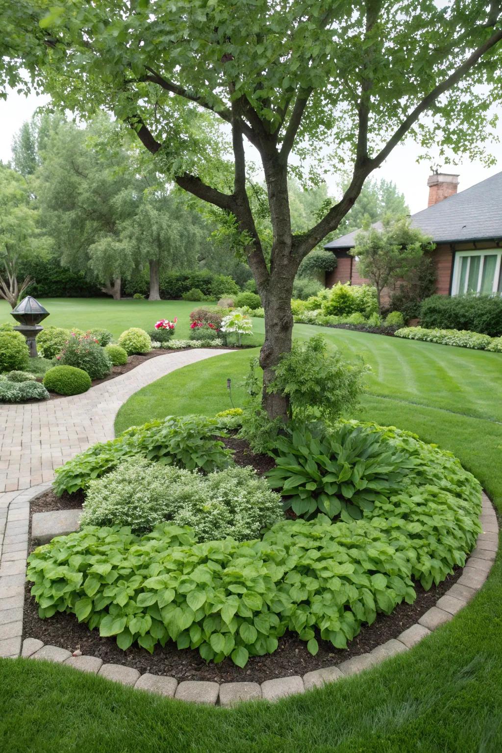 Groundcovers fill gaps and keep weeds at bay.