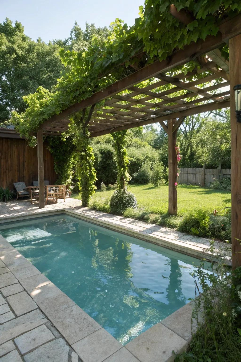 A shaded pergola offers both style and comfort over this wading pool.