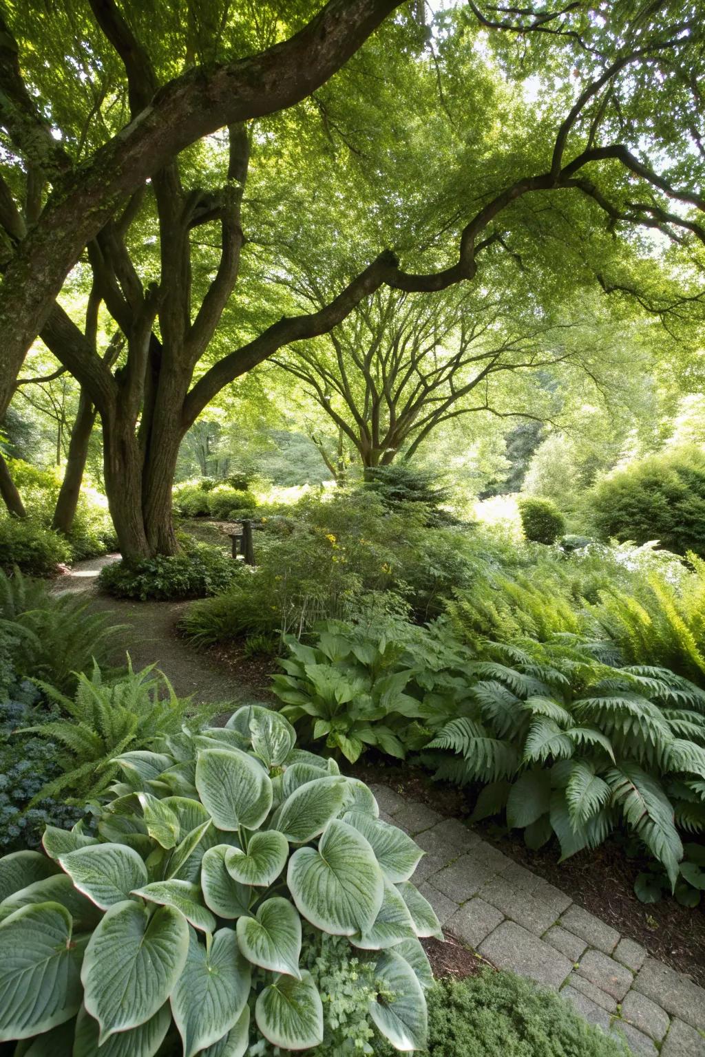 A lush shade garden thriving in zone 7.