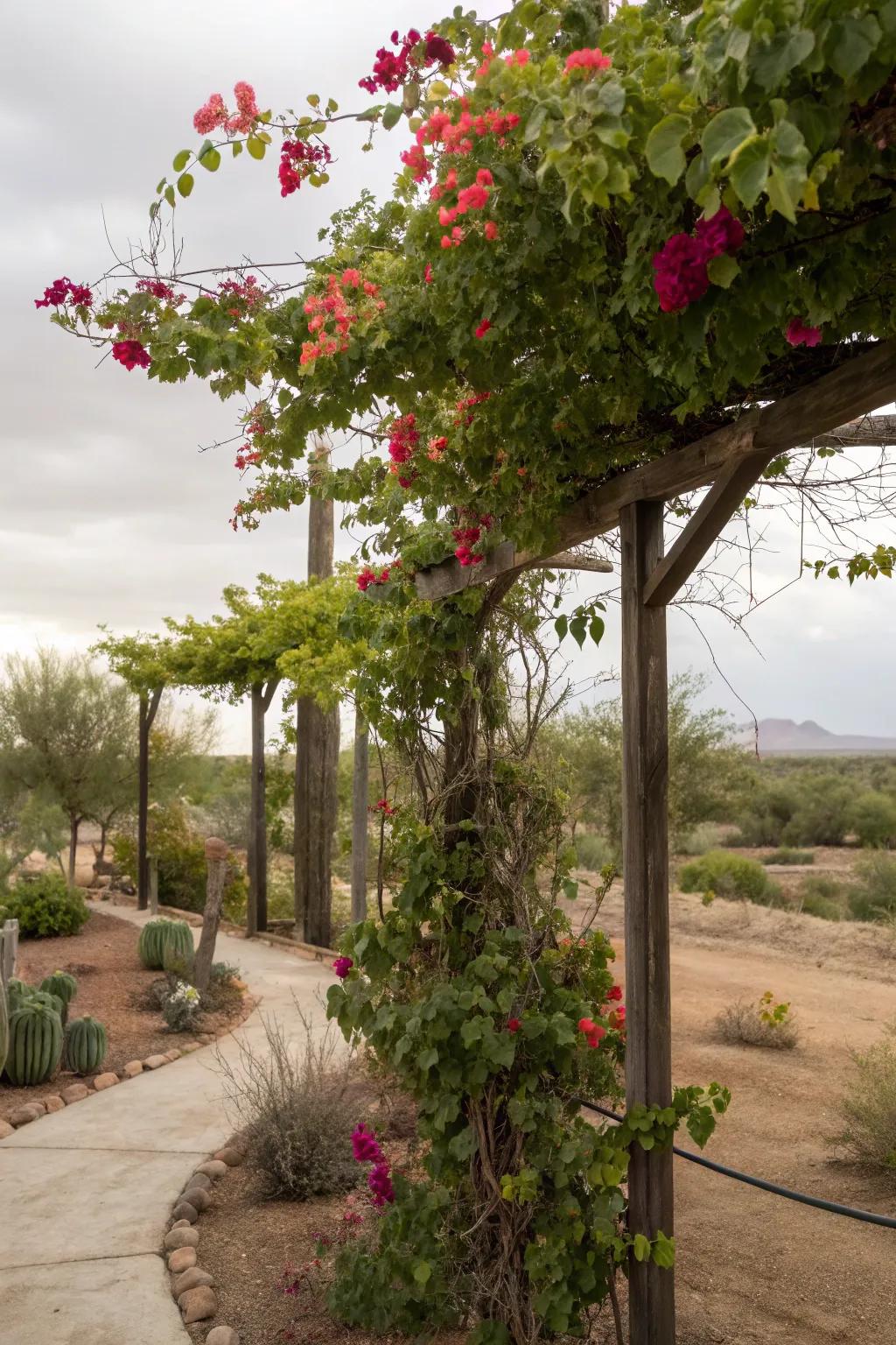 Utilize vertical space with vibrant trellises.