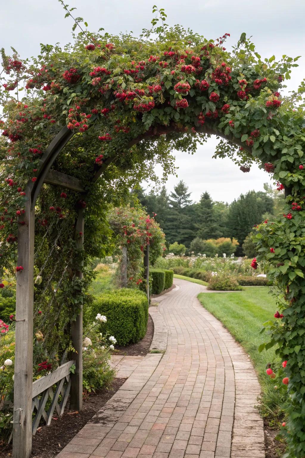 Trellis archway offers a dramatic and beautiful garden entrance.
