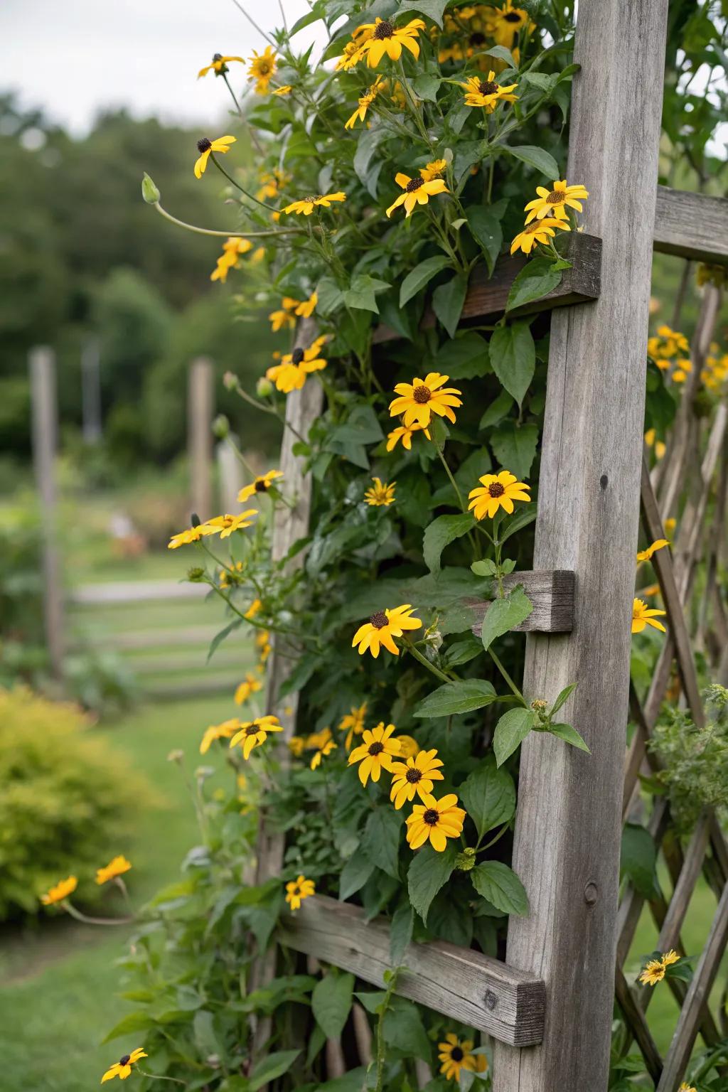 Vertical garden feature with black-eyed Susans.