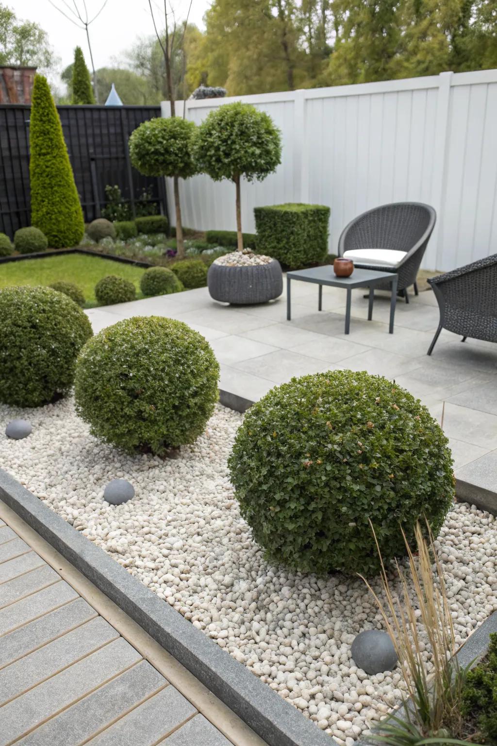 Boxwood globes providing a modern touch to a minimalist garden.