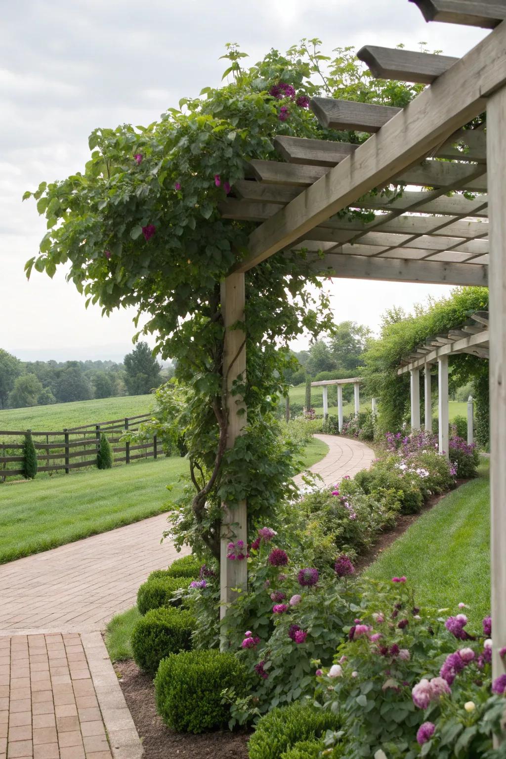 Pergolas offer grandeur and utility in one design.