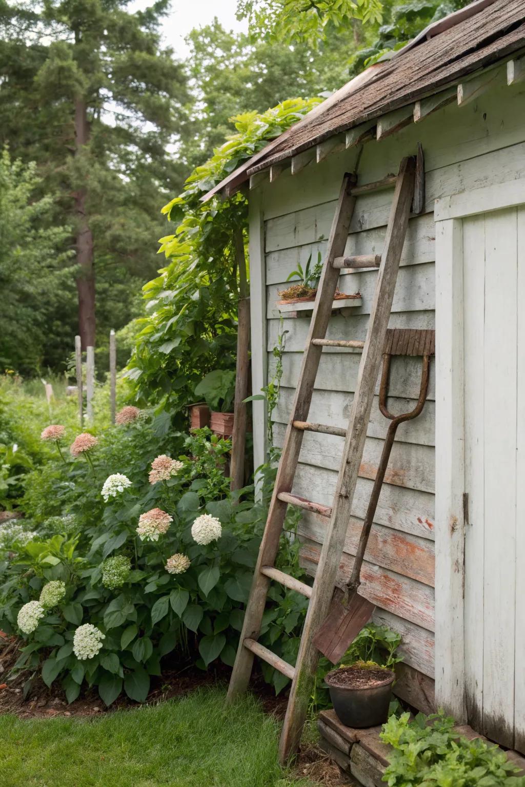 A decorative ladder adds functional and visual appeal to a shed.