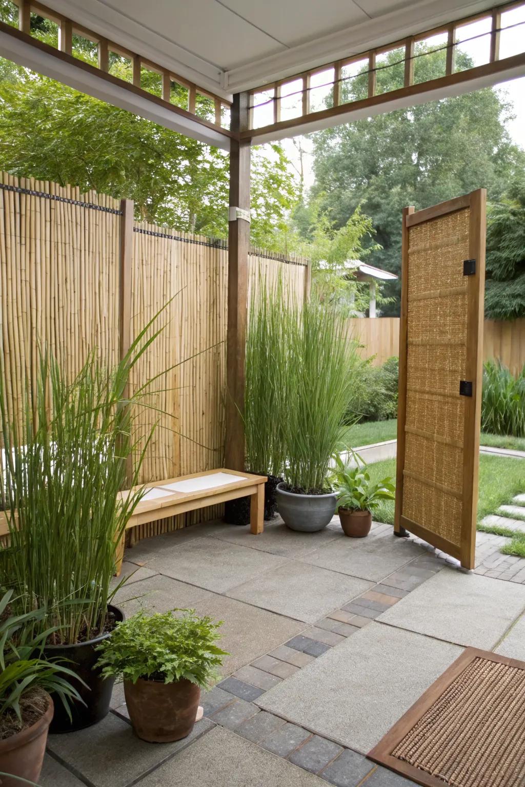 Create a living privacy screen with bamboo and tall grasses.