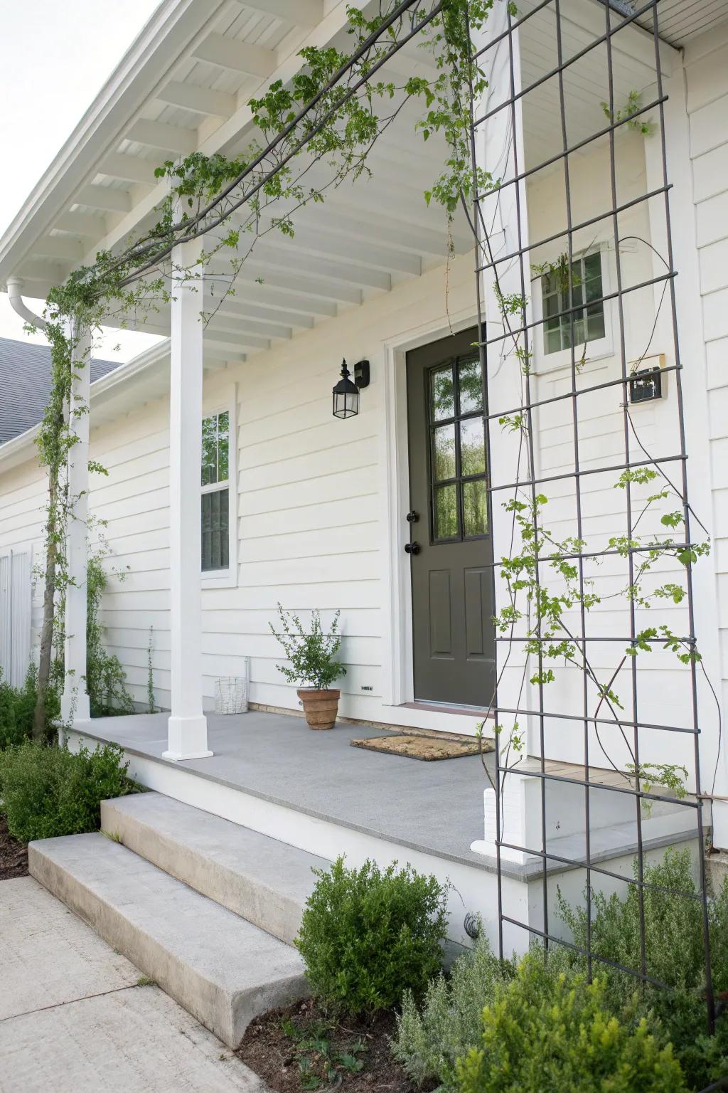 A minimalist wire trellis offering a contemporary touch to the porch.