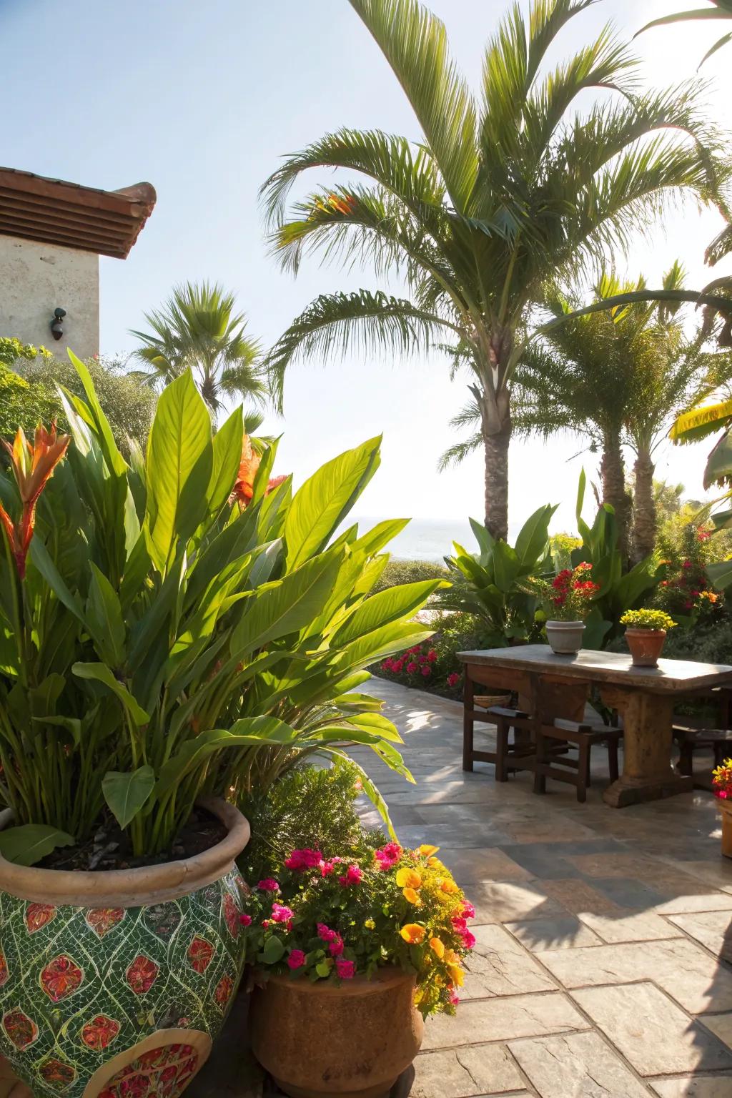 A tropical paradise on a sunny patio
