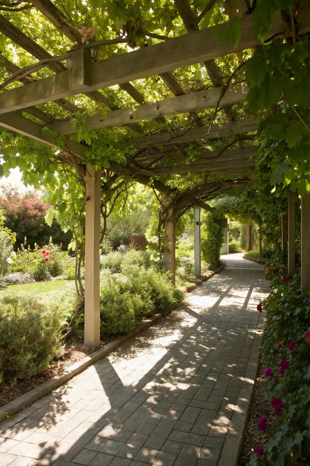 Grape arbors offer a perfect blend of shade and beauty.