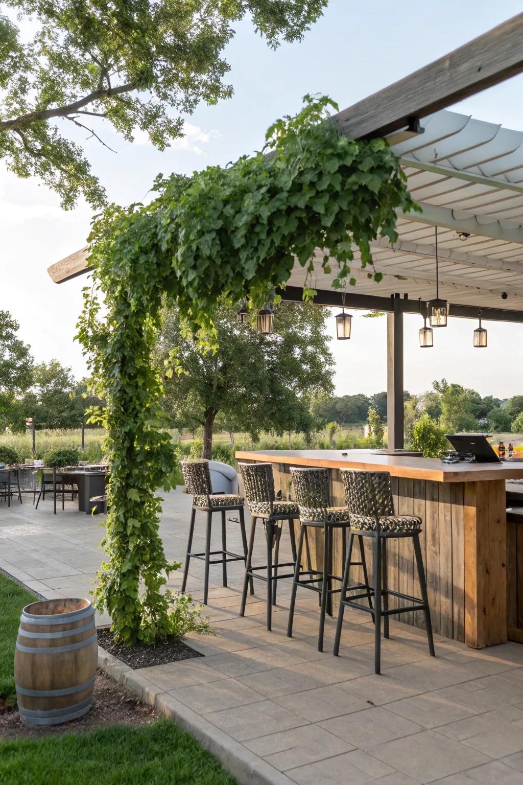 A lively open-air bar under a half pergola.