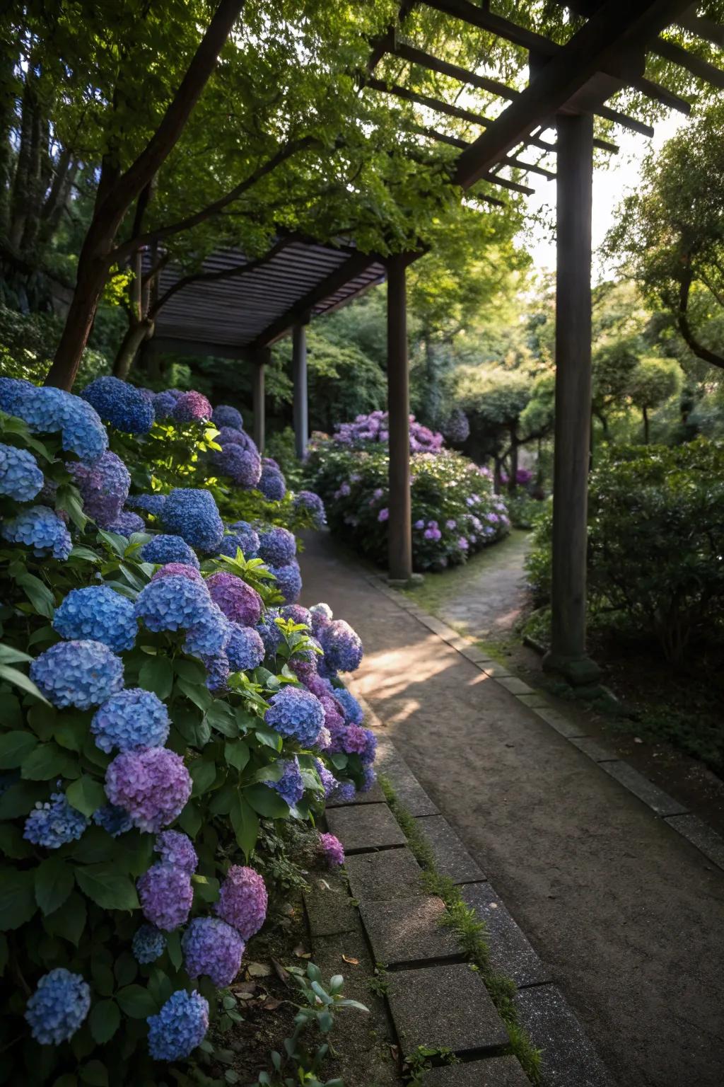 Hydrangeas brighten up even the shadiest garden spots.