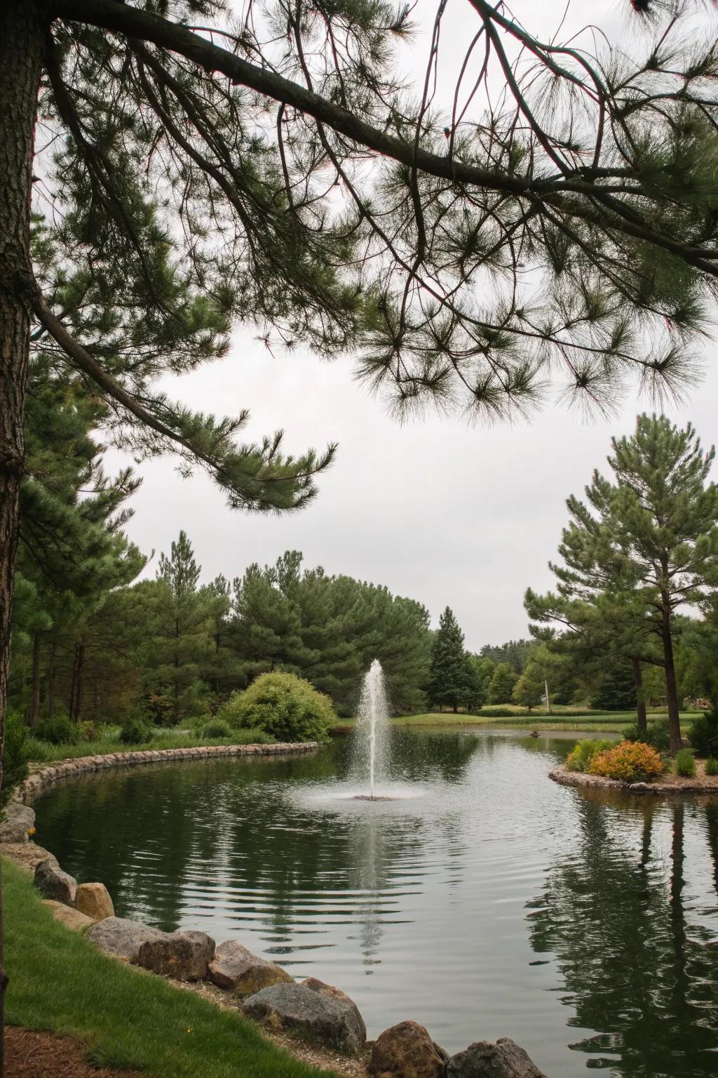 A water feature adds serenity to a pine tree setting.