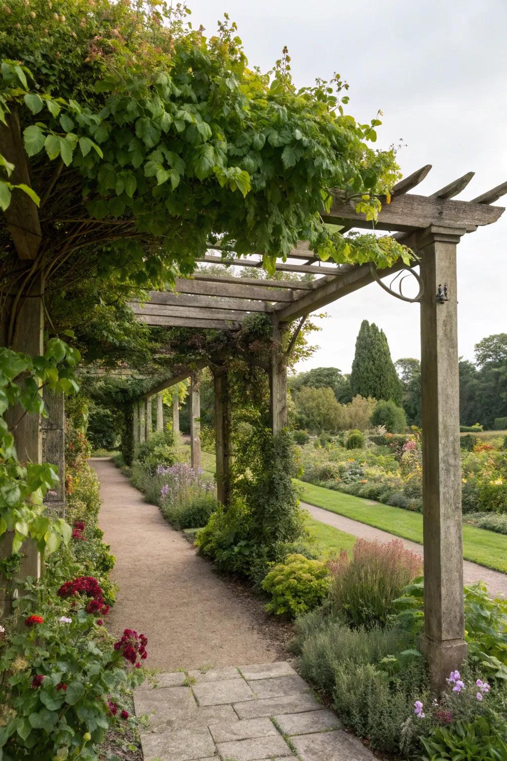 A pergola adds shade and structure, enhancing the garden's beauty.