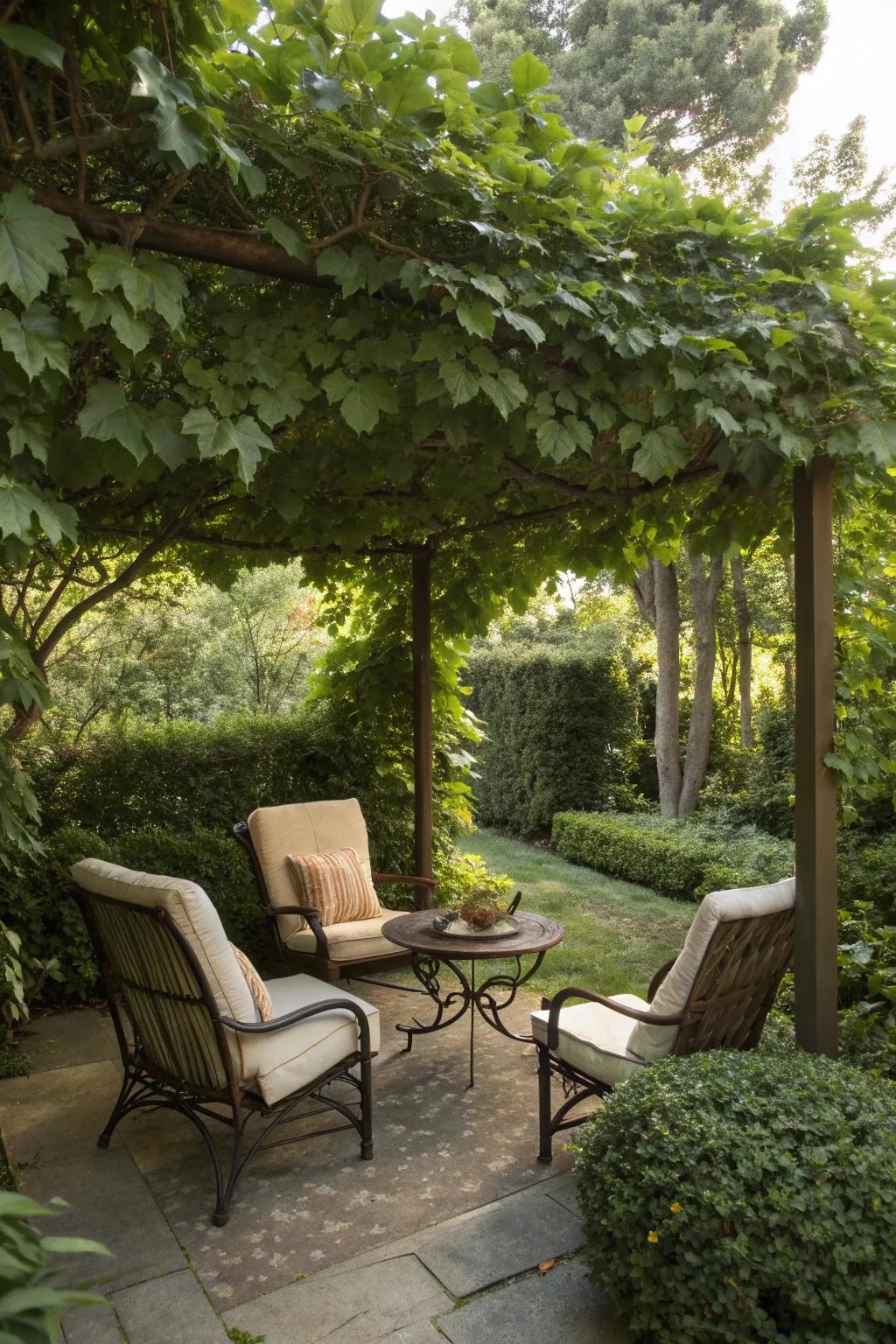 A hidden retreat offering tranquility in a luxurious garden.