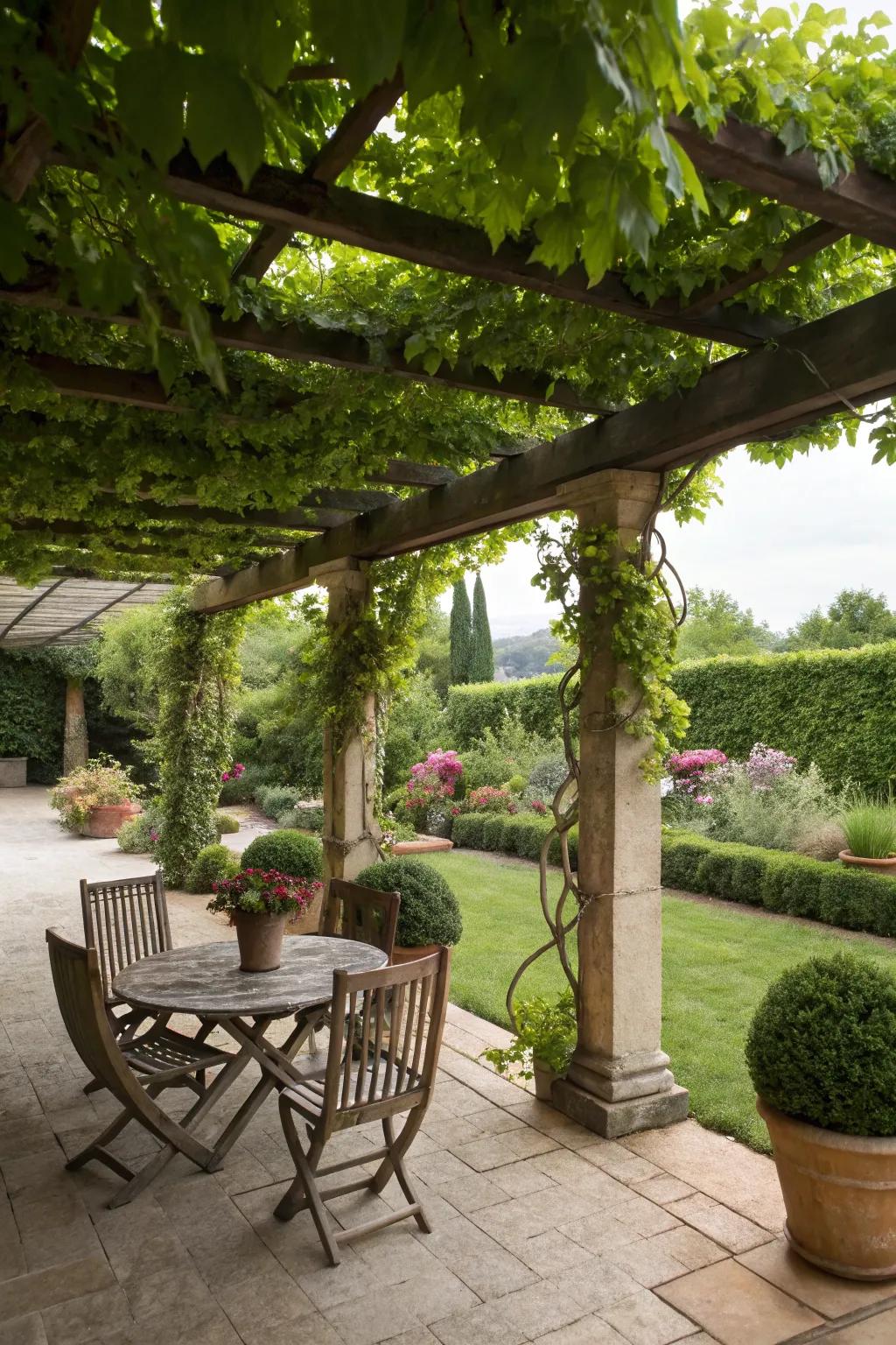 A vine-covered pergola provides shade and ambiance.