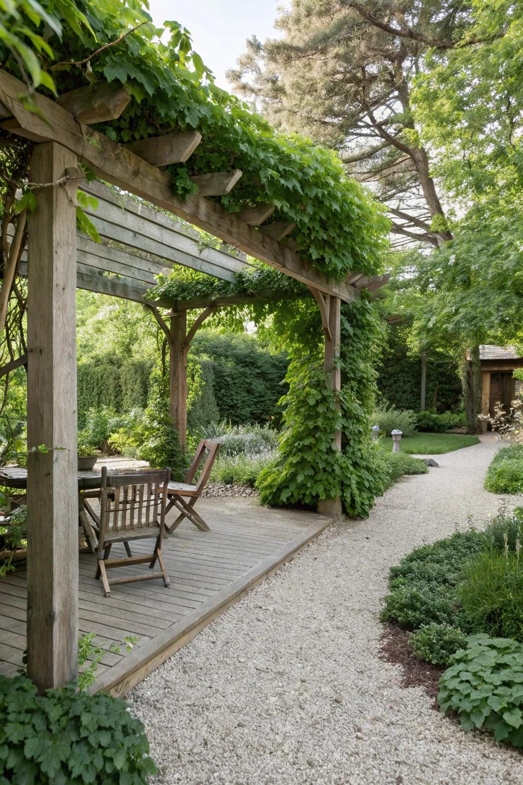 A pergola offers shade and a structure for climbing plants.
