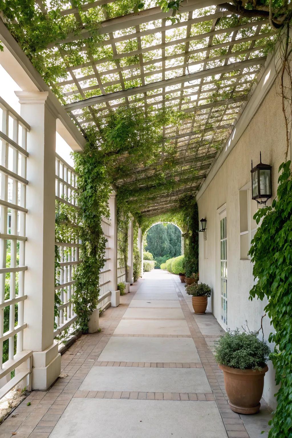 A decorative trellis provides privacy and natural beauty.