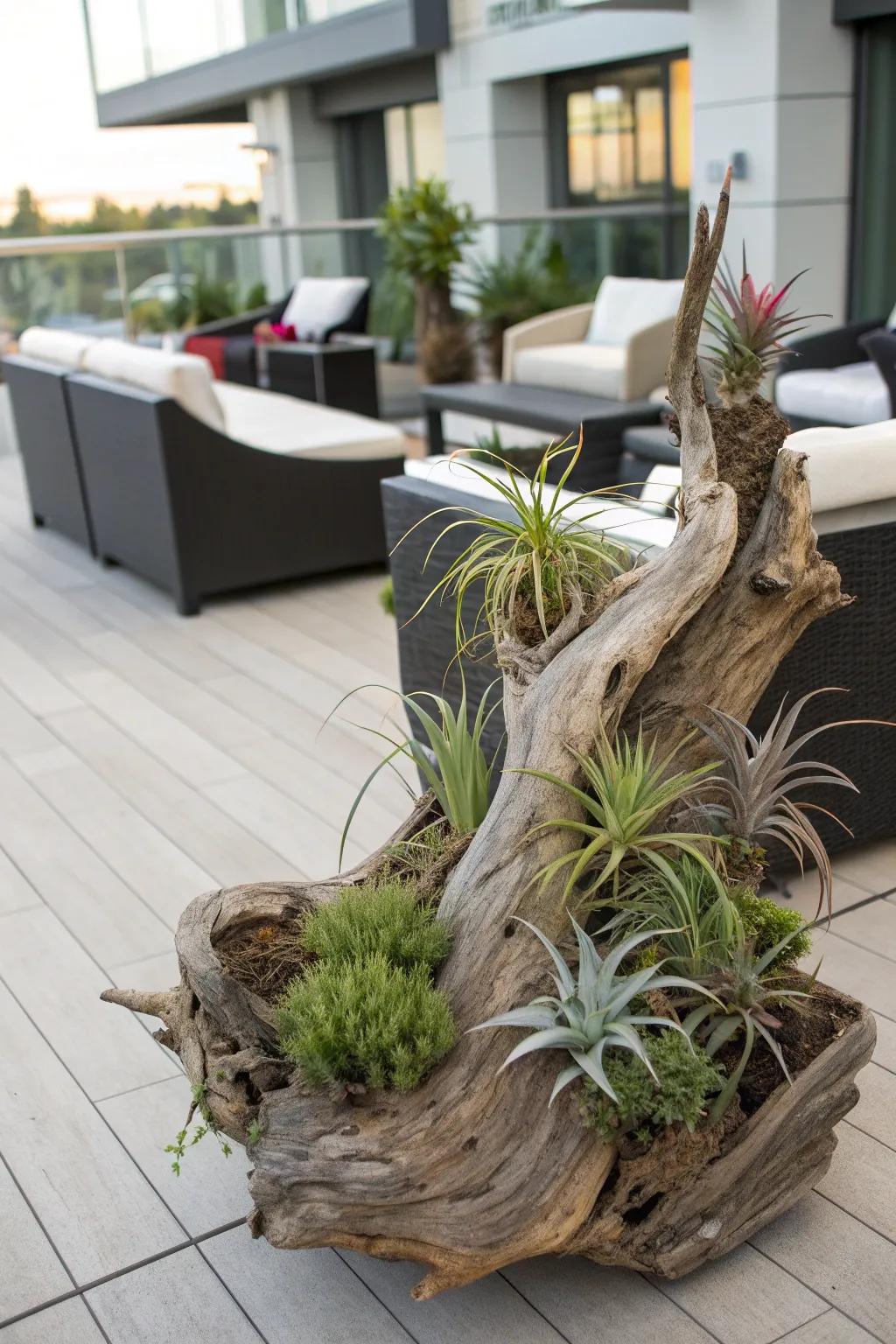 Bring art to your garden with sculpture planters.