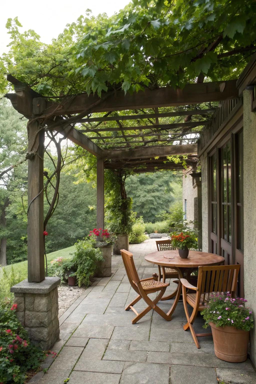 A pergola providing shade and style to a small patio.